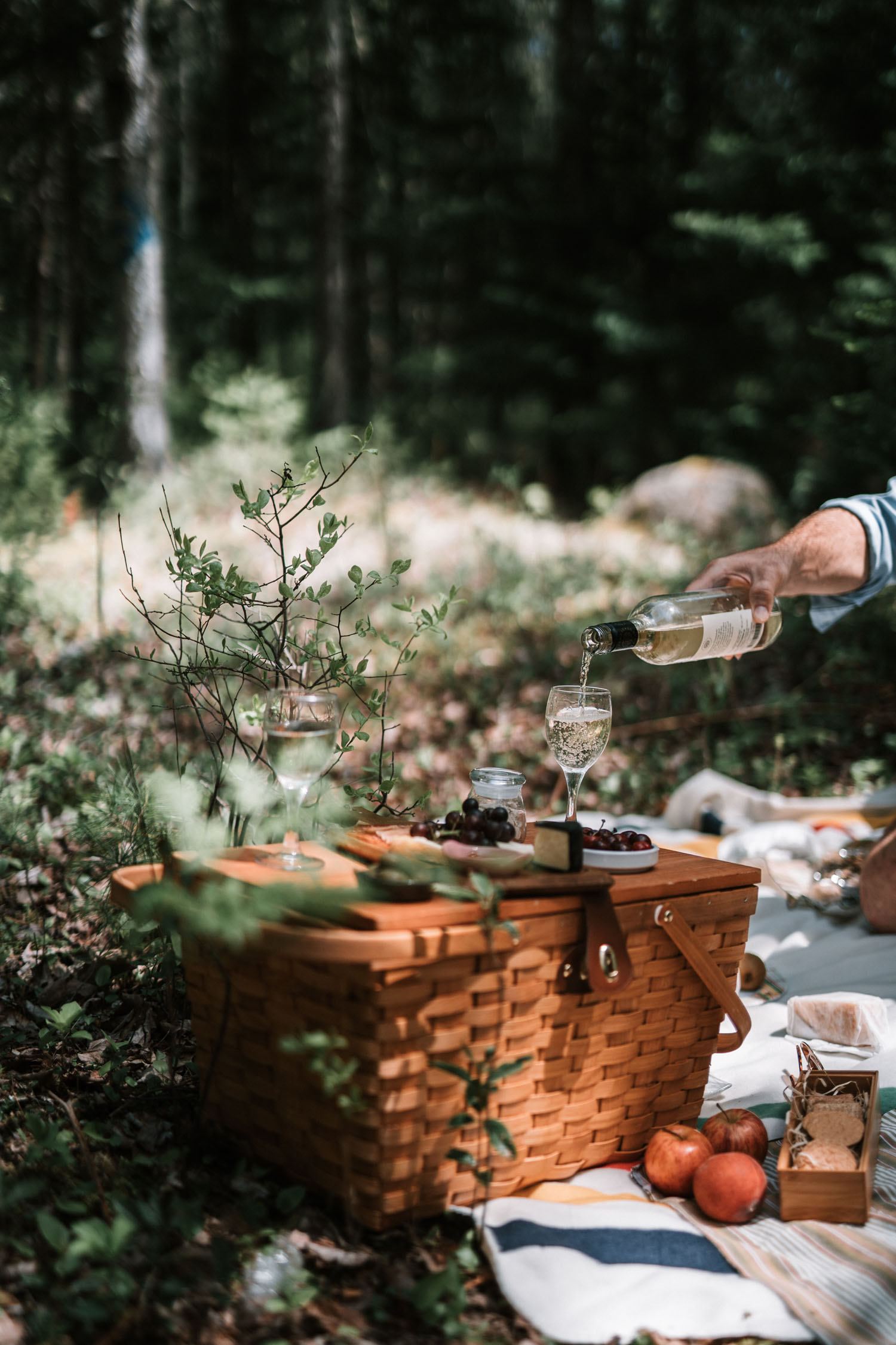 Hand-picked wines, liquors and juices